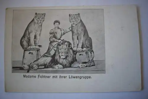 Ak Madame Fichtner mit ihrer Löwengruppe um 1900 nicht gelaufen
