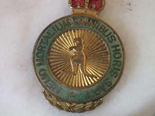 Royal Antediluvian Order of Buffaloes, Pins, 25.10.1967
