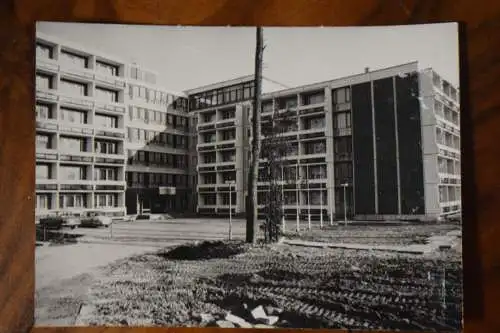 Binz Rügen Foto Zobler