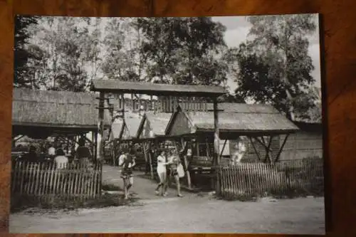 Ak Dübener Heide, HO Gaststätte "Oppin" Waldschänke, 1975