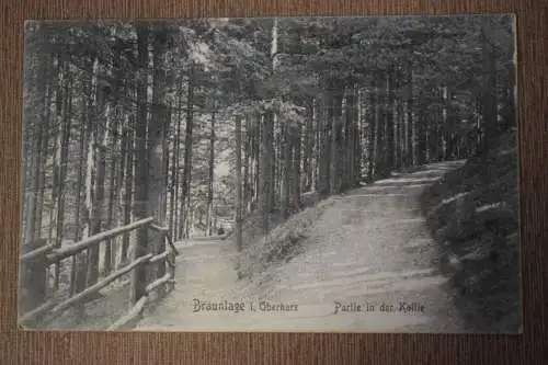 Ak Braunlage Oberharz, Partie in der Kollie, um 1917 gelaufen