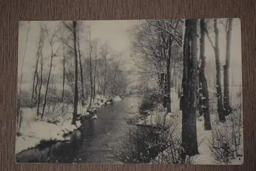 Ak Sächsische Heimatschutzkarte, Winter im Spreetal, um 1910 nicht gelaufen