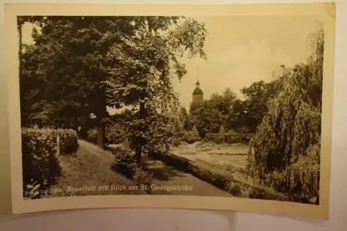 Ak Glauchau Rosarium mit Blick zur St. Georgskirche, um 1955  gelaufen