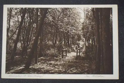 Ak Nordseebad St. Peter (Ording), Im Wäldchen, um  1928 nicht gelaufen