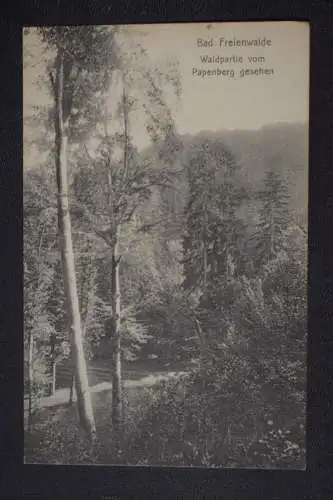 Ak Bad Freienwalde, Waldpartie vom Papenberg gesehen,  1912 gelaufen