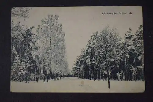 Ak Waldweg im Grunewald, 1907 gelaufen