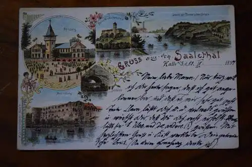 Ak Halle / Saale, Gruss aus dem Saalethal, Peissnitz, 1897 gelaufen