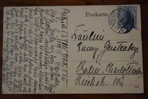 Ak Schloß Pretzsch, Portal a.d. Parkseite, 1915 gelaufen