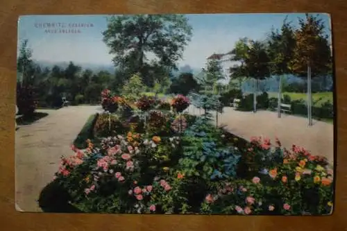 Ak Chemnitz, Rosarium, Neue Anlagen, um 1914 nicht gelaufen