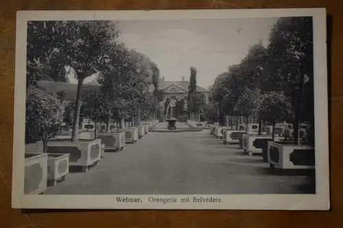 Ak Weimar, Orangerie mit Belvedere, um 1918 gelaufen