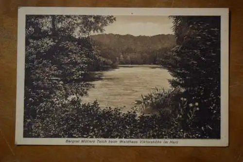 Ak Bergrat Müllers Teich beim Waldhaus Viktorshöhe im Harz,  1920 nicht gelaufen