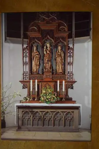 Ak Halle (S.), Kath. Propsteikirche St. Franziskus  und Elisabeth, Marienaltar