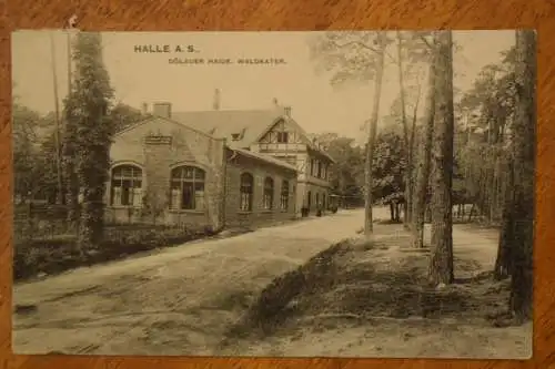 AK Halle / Saale, Dölauer Heide Waldkater, 1907 gelaufen