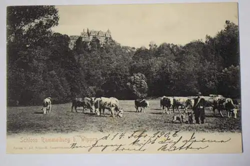 Ak Schloss Rammelburg b. Wippra, 1905 gelaufen