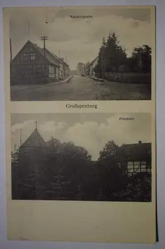 Ak Großapenburg, Vorderstraße, Försterei, um  1910 nicht gelaufen