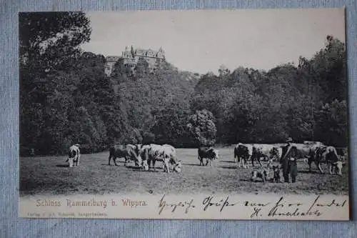 Ak Schloss Rammelburg b. Wippra,  1905 gelaufen