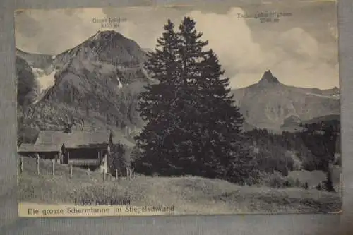 Ak Die grosse Schermtanne im Stiegelschwand,  1933 gelaufen