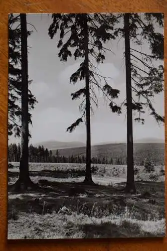 Blick zum Brocken von Tanne im Harz 1972