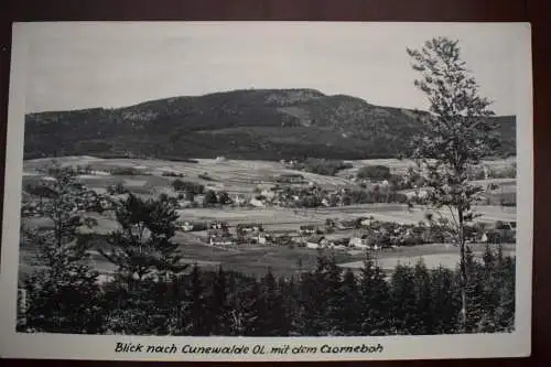 Ak Blick nach Cunewalde OL. mit dem Czorneboh,  1950 gelaufen