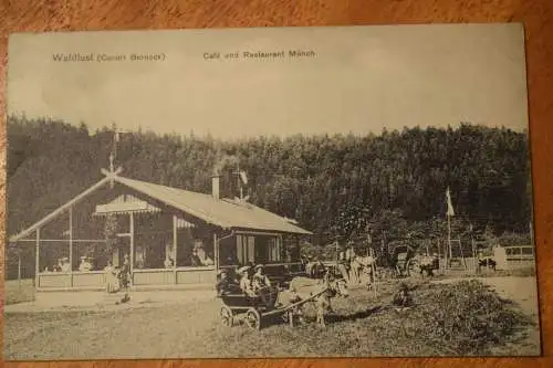 Ak Waldlust (Kurort Berneck), Café und Restaurant Münch, 1911 gelaufen