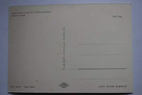 Ak Tornau - Eisenhammer, Dübener Heide, 1976 nicht gelaufen