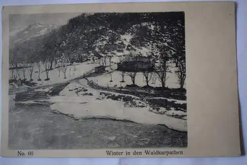 Ak Winter in den Waldkarpathen, Karpaten, 1918 gelaufen