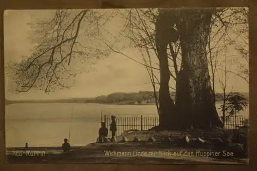 Ak Neu-Ruppin, Wichmann-Linde mit Blick auf den Ruppiner See, um 1900