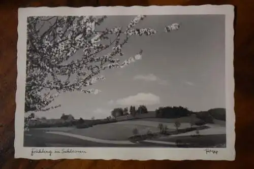 AK Frühling in Schlesien, um 1930 nicht gelaufen