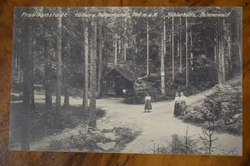 Ak Freudenstadt, Köhlerhütte, Palmenwald,  1911 gelaufen