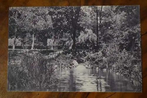 Ak Zittau Weinaupark, Der Wasserfall,  1920 gelaufen