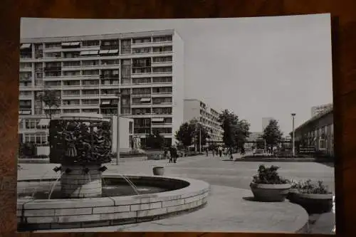 Ak Halle Saale, Halle-Neustadt, Am Alchimistenbrunnen, 1977