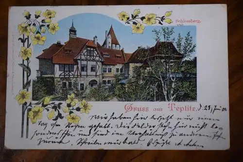 Ak Gruss aus Teplitz, Schlossberg, 1902 gelaufen