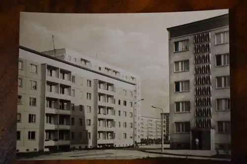 Ak Halle Saale, Halle-Neustadt,  1969