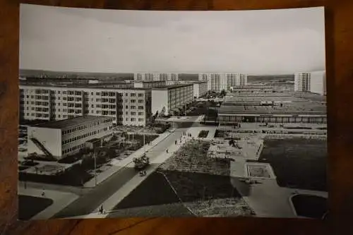 Ak Halle Saale, Halle-Neustadt,  1975