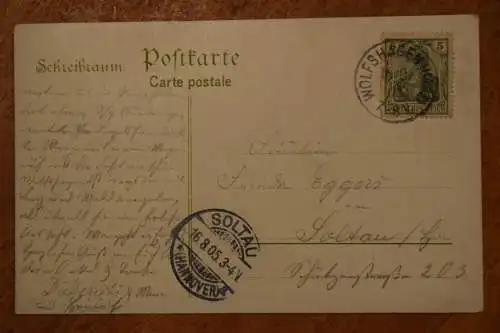 Ak Gruß aus Wolfshagen, Dorfstraße mit Kuhherde, 1905 gelaufen