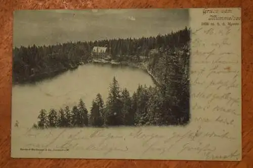 Ak Gruß vom Mummelsee, Gasthof und Pension Wolfsbrunnen, Seebach, 1899 gelaufen