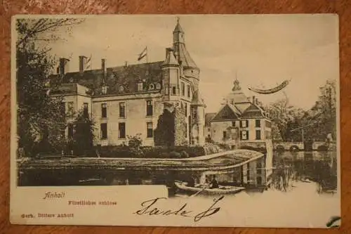 Ak Anhalt, Fürstliches Schloss,  1904 gelaufen