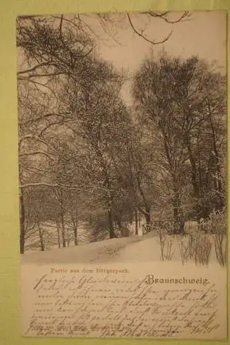 Ak Braunschweig, Partie aus dem Bürgerpark, 1905 gelaufen