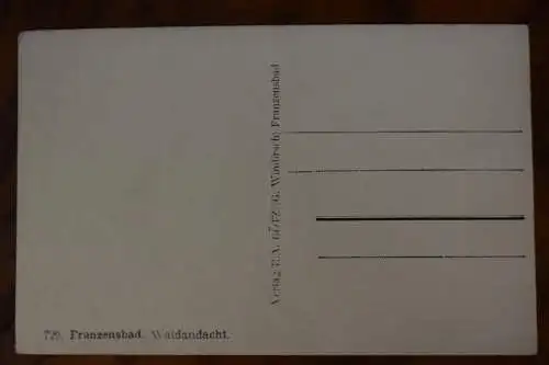 Ak Franzensbad, Waldandacht, um 1920 nicht gelaufen
