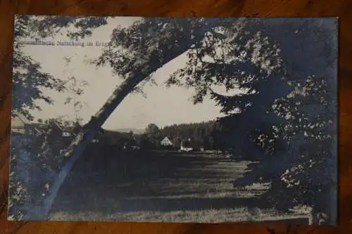 Ak Sommerfrische Natschung im Erzgebirge, um 1920 nicht gelaufen