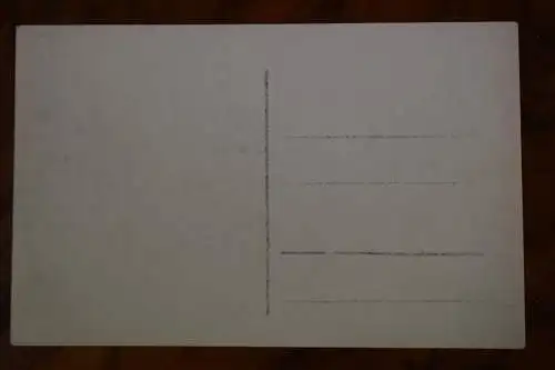 Ak Sommerfrische Natschung im Erzgebirge, um 1920 nicht gelaufen