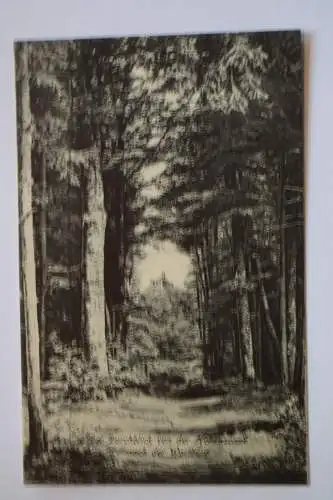 Ak Der Durchblick von der Hohensonne nach der Wartburg, um 1910 nicht gelaufen