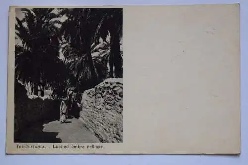 Ak Tripolitania - Luci ed ombre nell`oasi, um 1910 nicht gelaufen