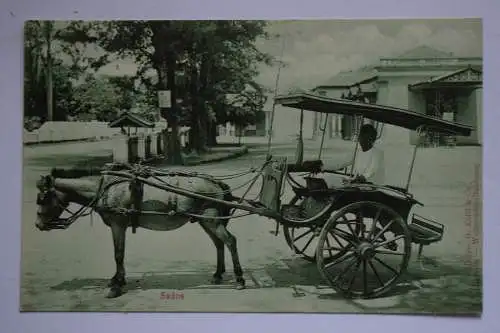 Ak Sados, um 1910 nicht gelaufen