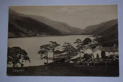 Ak Talyllyn, um 1910 nicht gelaufen