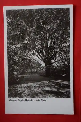 Ak Kurhaus Kloster Drübeck, Alte Linde, um 1955 nicht gelaufen