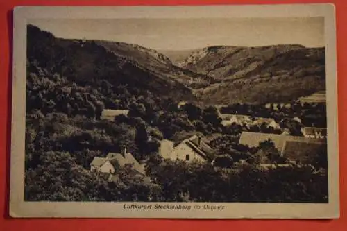 Ak Luftkurort Stecklenberg, Ostharz  um 1925 gelaufen