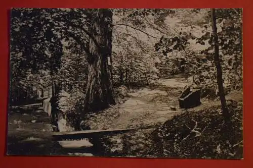 Ak Bad Harzburg, Philosophenweg, um 1930 nicht gelaufen