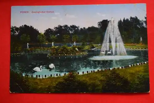 Ak Posen, Zoologischer Garten, um 1916 gelaufen