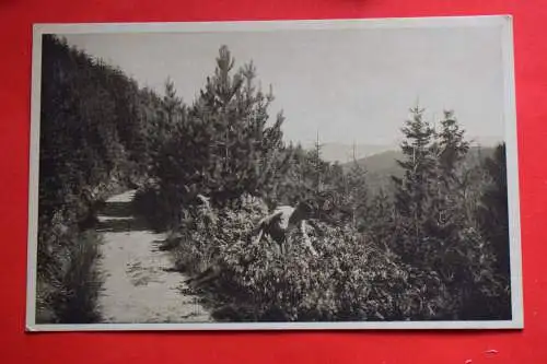 Ak Höhenluftkurort Herrenwies, Panoramaweg, um 1910 nicht gelaufen